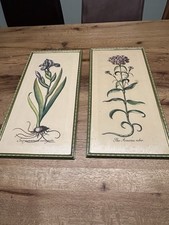 Stampe Antiche Botanica