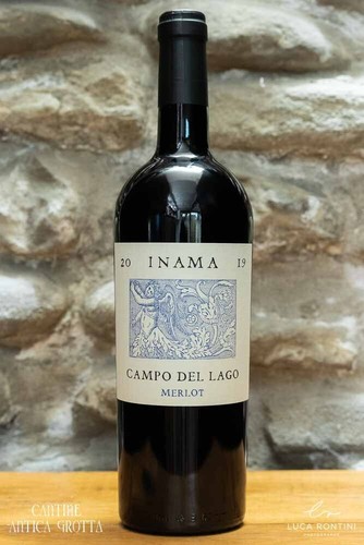 Campo del lago 2020 - campo,