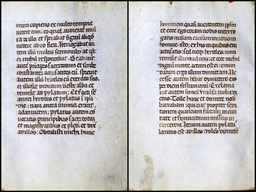 Grafia pergamena foglia - foglia, di