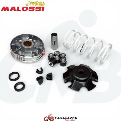 Variatore malossi multivar - variatore,