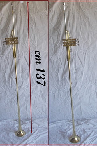 Tromba araldica chiarina - , 3
