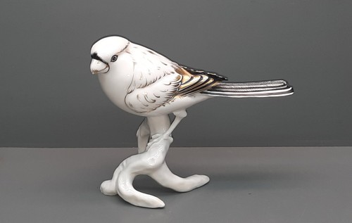 Heubach uccelli canarini paolo - uccelli,