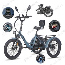 Triciclo elettrico Fafrees F20