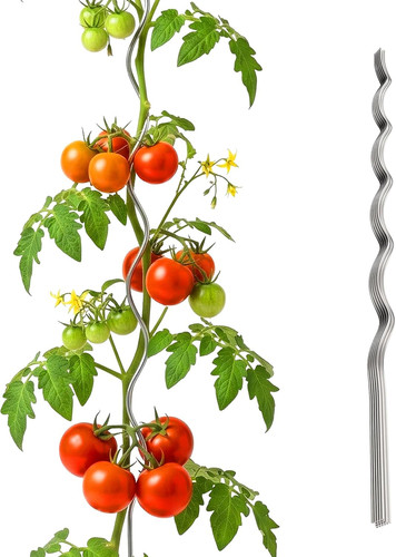 Asta spirale per - spirale, pomodori