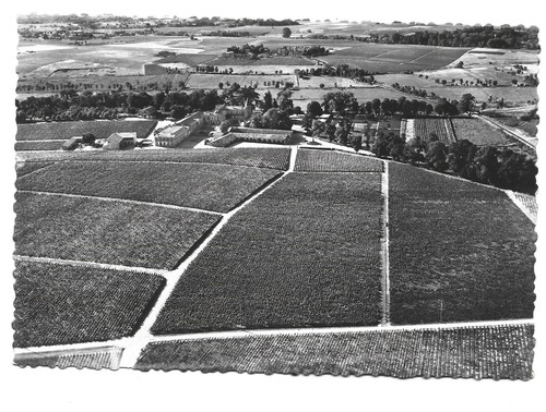 Pauillac chateau lafite - pauillac,