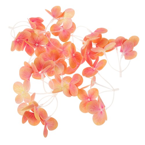 Teste di bouquet - pz,