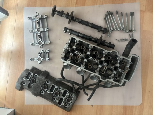 Testata bmw 1200 alberi - testata,
