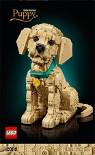 Cucciolo di Golden Retriever -
