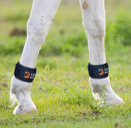 Fasce magnetiche per gambe - , di