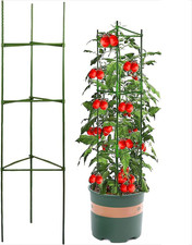 Giardino Pomodoro