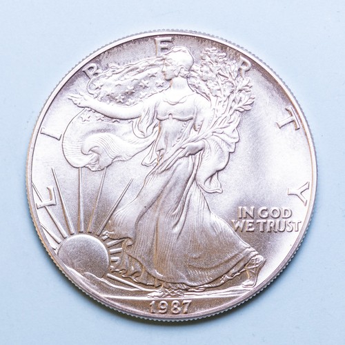 America dollaro 1987 american - dollaro,