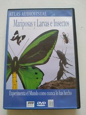 Farfalline E Larve E Insetti