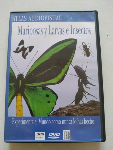 Farfalline larve insetti - larve,