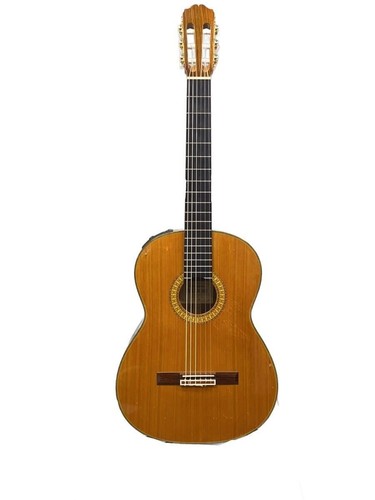Takamine chitarra acustica - chitarra,