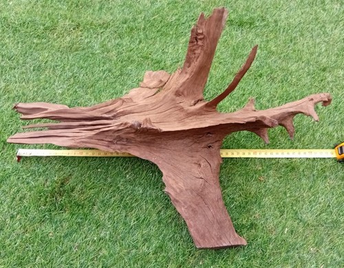 Legno africano per decorazione