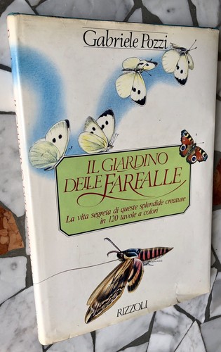 Giardino delle farfalle - farfalle,