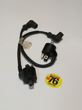 Coppia Bobine Accenzione Aprilia Rs Suzuki Rgv 250cc
