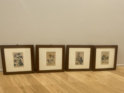 Lotto tavole botaniche - di, 4