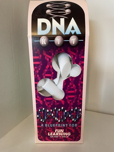 Dna model kit scienza salute - model,