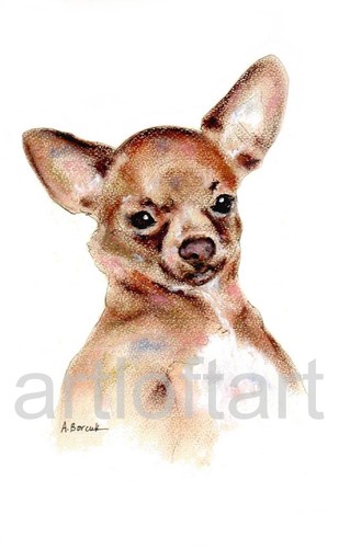 Chihuahua dog aceo - dog, card