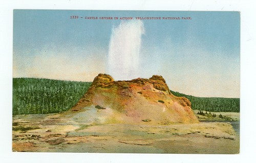 Yellowstone park castle geyser - yellowstone, park-castle