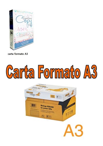 Carta grammi risma da - a3,