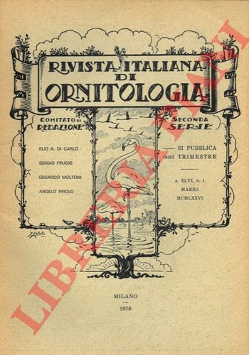 Vv rivista - ,