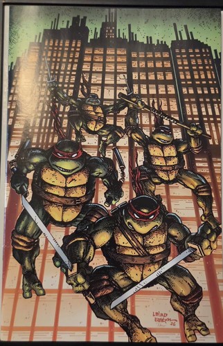 Teenage mutant ninja turtles - mutant,