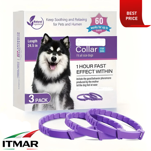 Set collari per cani - da, 3