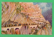 TOMMASO CASCELLA - CROCE ROSSA