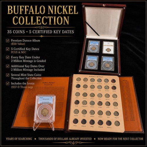 Monete bufalo nichel - bufalo,