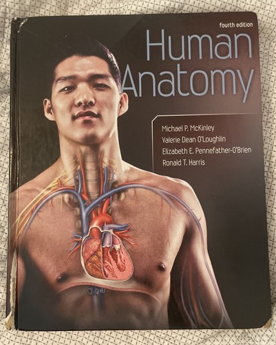 Human anatomy ronald - anatomy, t
