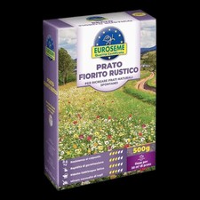 Semi prato fiorito rustico