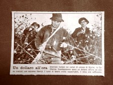 WW2 California Internati italiani nei campi di Blythe Seconda guerra mondiale