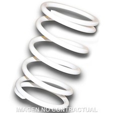 Molla Puleggia Conducente