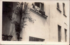 ANTICA FOTO - RAGAZZO CHE DORME SUL BALCONE -
