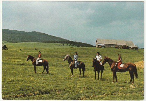 Pian del cansiglio - pian,