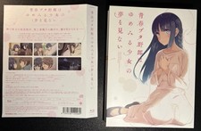 Rascal Does Not Dream a