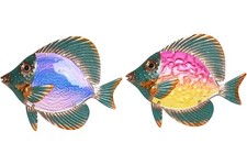PESCE DECORAZIONE A MURO PESCI