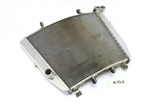 Aprilia Tuono V4 1100 Factory