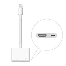 *Genuine Apple Lightning to