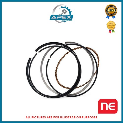 Set anelli del pistone per - set,