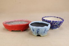 Vaso per bonsai giapponese