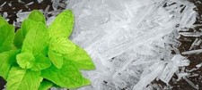 Cristaux menthe naturels - de,