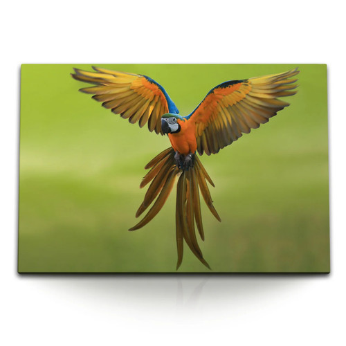 Quadro tela 120x80 cm - quadro,