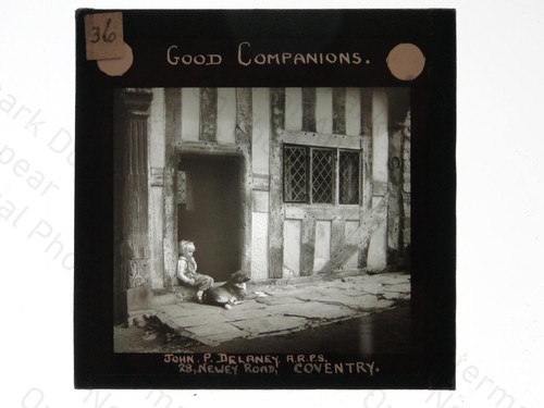 Child dog half timbered - dog,