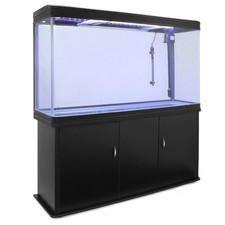 Acquario Grande per Ufficio