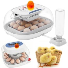 Incubatrice incubatrice