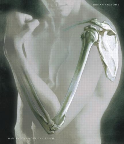 Human anatomy - anatomy, edition)