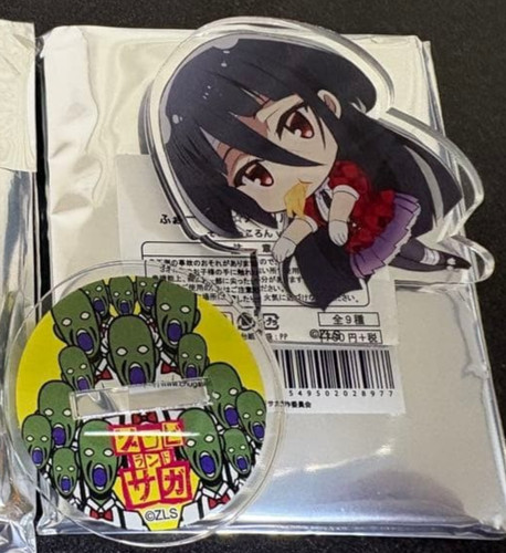 Supporto acrilico anime